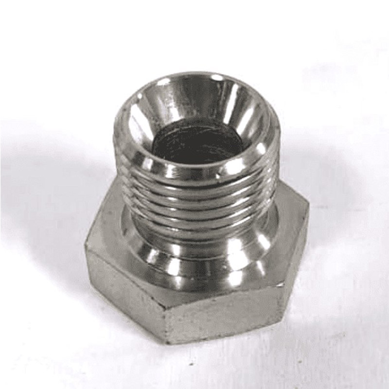 1/4 BSP পুরুষ হেক্স হেড ক্যাপটিভ সীল