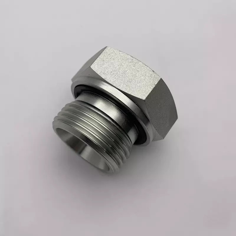 বিএসপি বন্দী সীল সীল পুরুষ