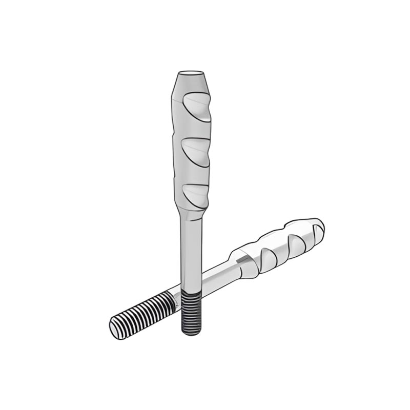 DIN529 টাইপ ই অ্যাঙ্কর বোল্টস