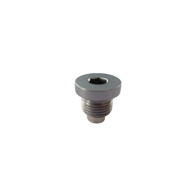 ও-রিং সহ ফাঁপা হেক্স পাইপ প্লাগ