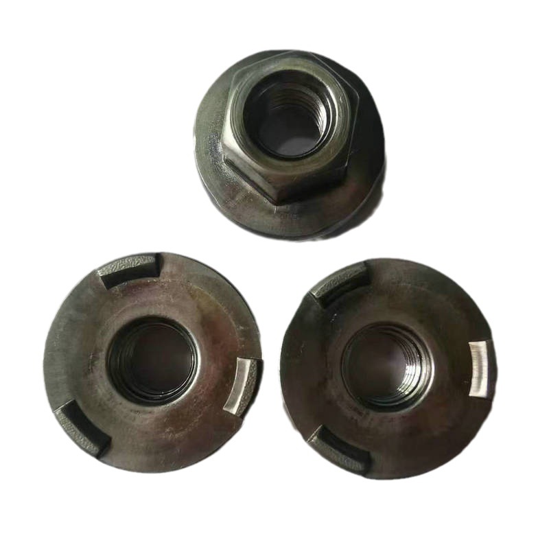 বহুমুখী ওয়েল্ডিং ফ্ল্যাঞ্জ বাদাম